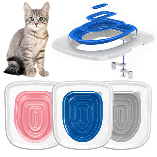 Cat with blue, pink and grey cat toilet