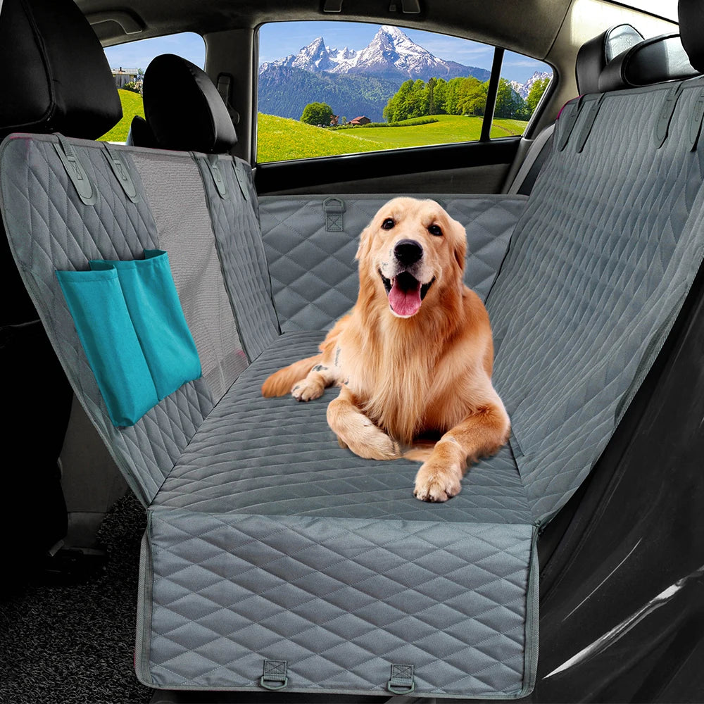 A dog using the grey dog cover