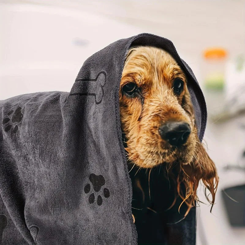 Dog wrapped in a gray towel with paw prints, looking directly at the camera.