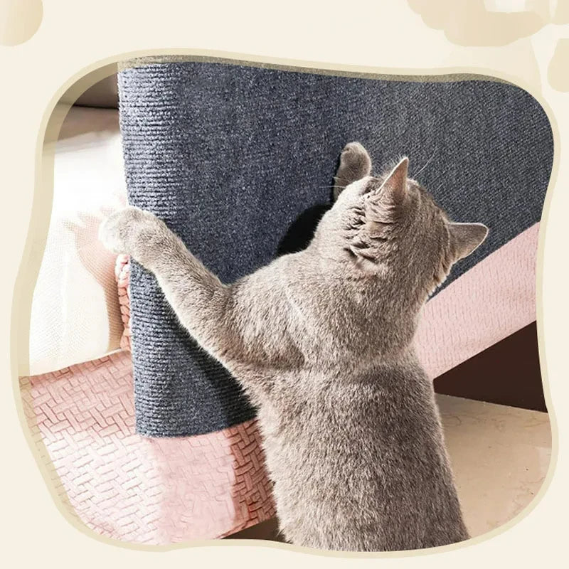 cat using the product