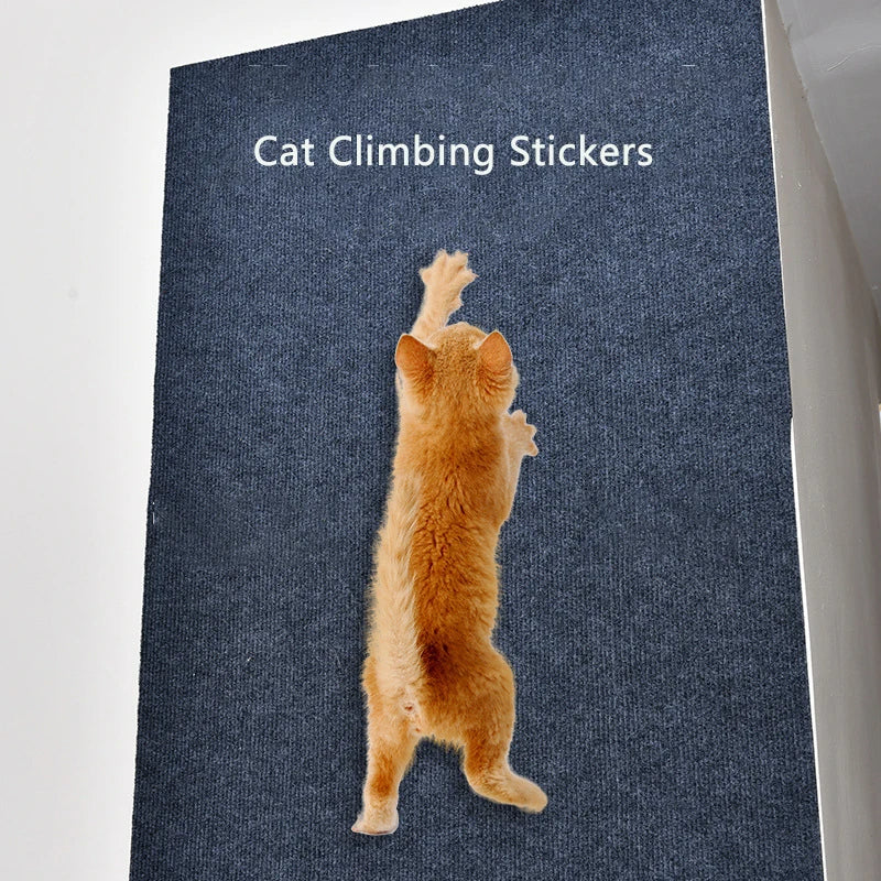 cat showing how to use product
