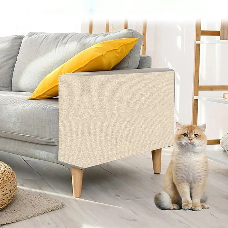 Cat standing next to the product